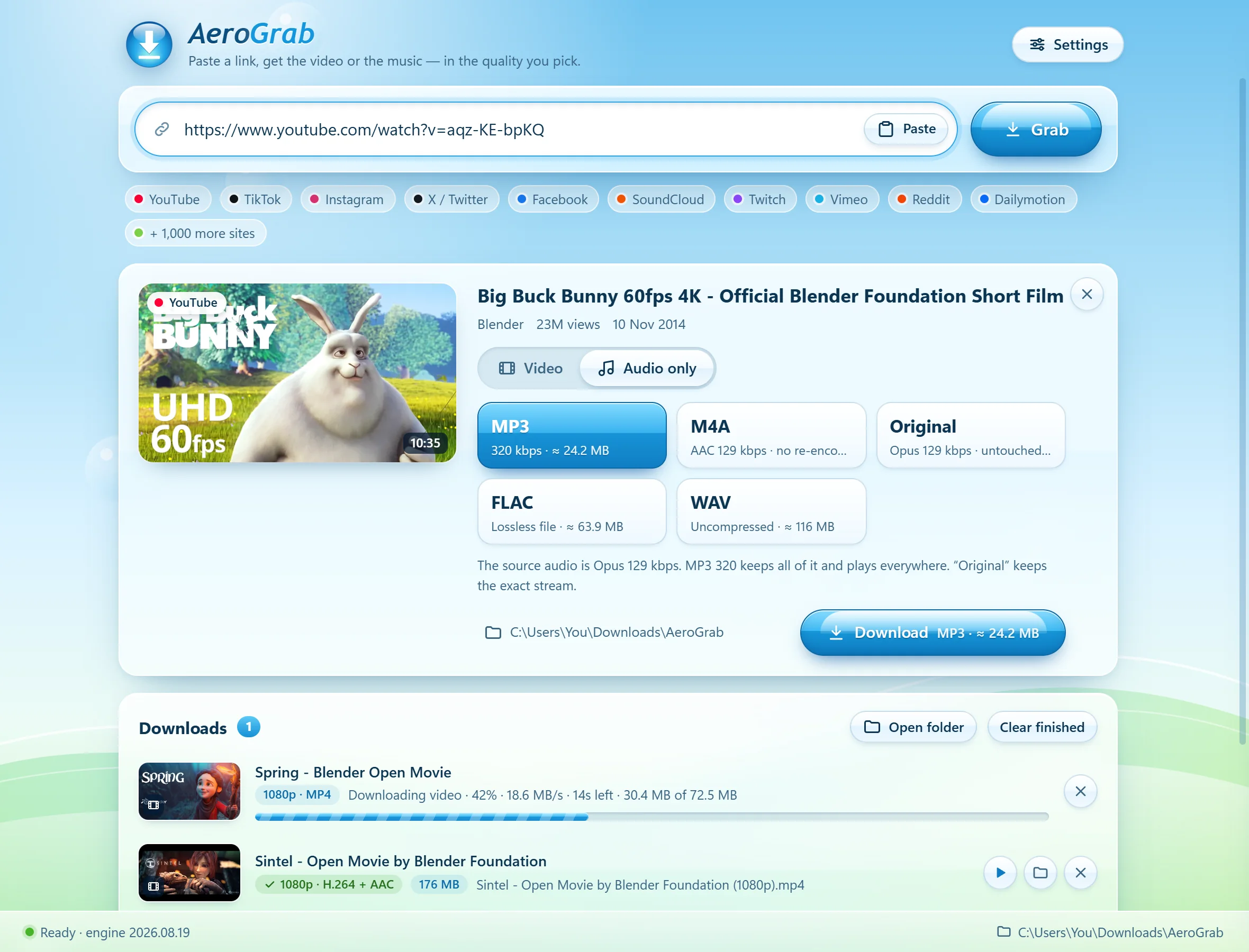 AeroGrab's audio options: MP3 320 kbps, M4A, Original Opus, FLAC and WAV, each with an estimated size